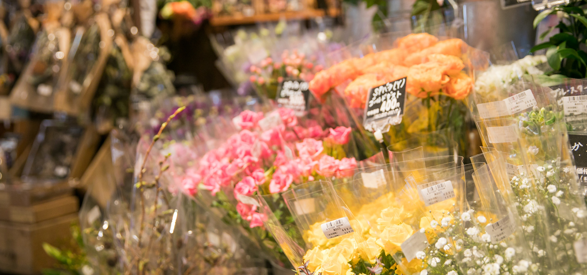 メインビジュアル