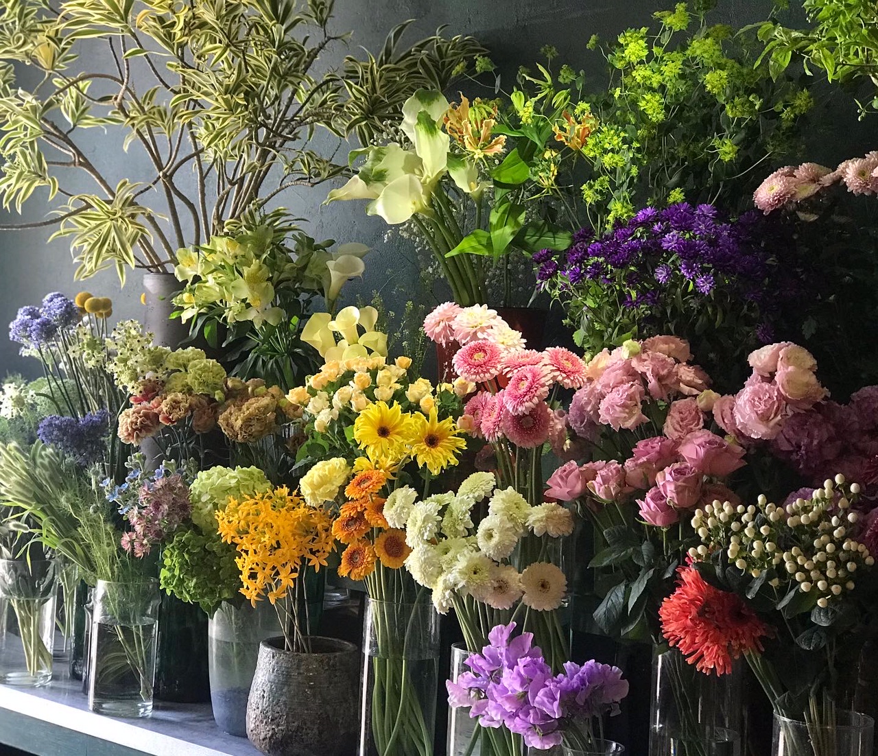 メインビジュアル